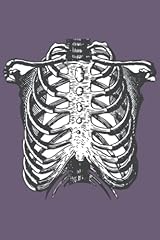 Rib cage notebook for sale  Delivered anywhere in UK