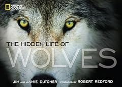 Hidden life wolves for sale  Delivered anywhere in UK