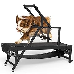 Hinxietie dog treadmill for sale  Delivered anywhere in USA 