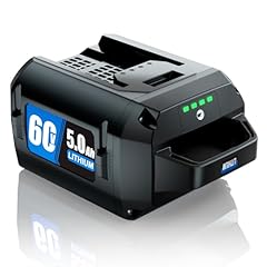 5.0ah lithium ion for sale  Delivered anywhere in USA 