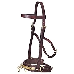 Tough leather lunging for sale  Delivered anywhere in USA 
