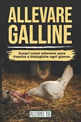 Allevare galline scopri usato  Spedito ovunque in Italia 