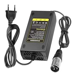 Labtec 48v caricatore usato  Spedito ovunque in Italia 
