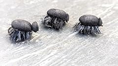 Carp zigs black for sale  Delivered anywhere in UK
