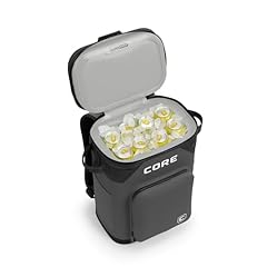 Core magnetic leak for sale  Delivered anywhere in USA 
