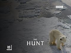 Hunt for sale  Delivered anywhere in UK