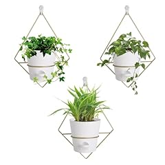 Set gold white for sale  Delivered anywhere in USA 
