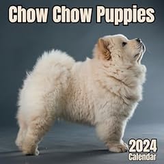 Chow chow puppies gebraucht kaufen  Wird an jeden Ort in Deutschland