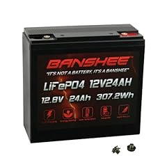 Banshee 12v 24ah for sale  Delivered anywhere in USA 