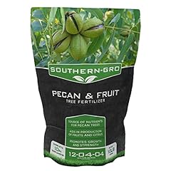 Southerngro pecan fruit for sale  Delivered anywhere in USA 