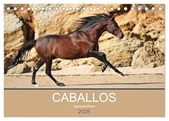 Caballos spanische pferde gebraucht kaufen  Wird an jeden Ort in Deutschland