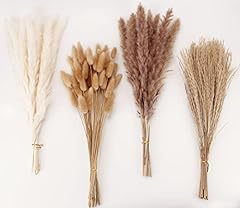 Dried pampas grass for sale  Delivered anywhere in USA 