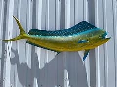 Bull dolphin half for sale  Delivered anywhere in USA 
