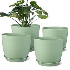 Plant pots inch for sale  Delivered anywhere in USA 