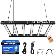 Baumsohn proline gl4000w gebraucht kaufen  Wird an jeden Ort in Deutschland