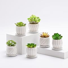 Sepor lot pots d'occasion  Livré partout en France