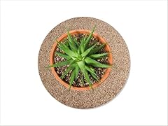 Keilbach designprodukte blumen gebraucht kaufen  Wird an jeden Ort in Deutschland