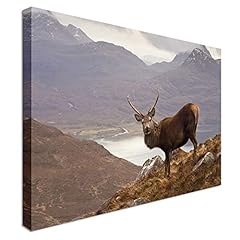 Red deer stag for sale  Delivered anywhere in USA 