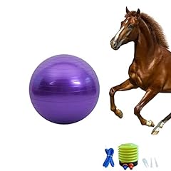 Chyesong pferdeball trainingss gebraucht kaufen  Wird an jeden Ort in Deutschland