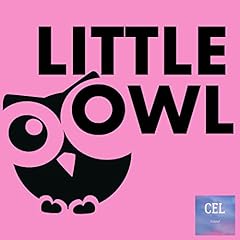 Little owl for sale  Delivered anywhere in USA 