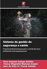 Sistema gestão segurança usato  Spedito ovunque in Italia 