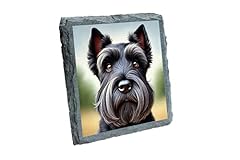 Scottish terrier dog for sale  Delivered anywhere in UK