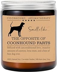 Acevedodesign coonhound candle for sale  Delivered anywhere in USA 