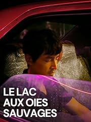 Lac oies sauvages d'occasion  Livré partout en France