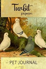 Turbit pigeon pet for sale  Delivered anywhere in UK
