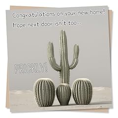 Funny cactus new for sale  Delivered anywhere in UK