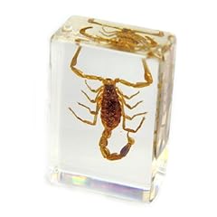 Realbug golden scorpion for sale  Delivered anywhere in USA 