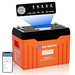 Eco worthy lifepo4 usato  Spedito ovunque in Italia 
