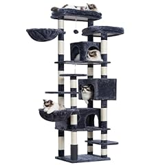 Hey brother cat for sale  Delivered anywhere in USA 