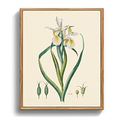 Crmotu vintage floral for sale  Delivered anywhere in USA 