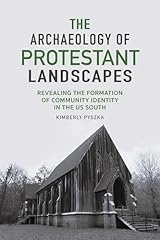 The archaeology protestant usato  Spedito ovunque in Italia 