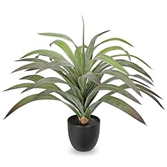 Oairse faux agave for sale  Delivered anywhere in UK