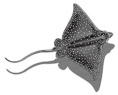 Eagle ray porcelain for sale  Delivered anywhere in USA 
