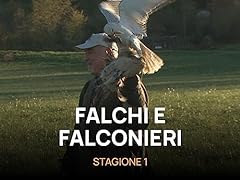 Falchi falconieri usato  Spedito ovunque in Italia 