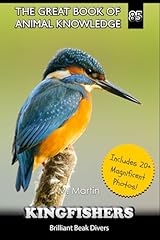 Kingfishers brilliant beak for sale  Delivered anywhere in USA 