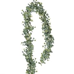 Stück eukalyptus deko gebraucht kaufen  Wird an jeden Ort in Deutschland