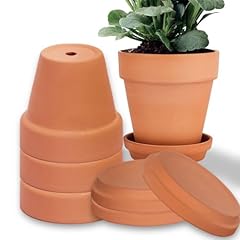 Vaso terracotta per usato  Spedito ovunque in Italia 