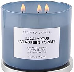 Eucalyptus evergreen forest for sale  Delivered anywhere in USA 