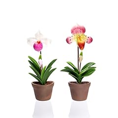 Ablossom set pieces for sale  Delivered anywhere in USA 