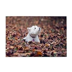 Puzzles puzzles adultes d'occasion  Livré partout en France