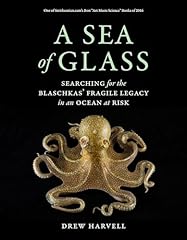 Sea glass searching for sale  Delivered anywhere in UK