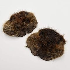 Fur faces beaver for sale  Delivered anywhere in USA 