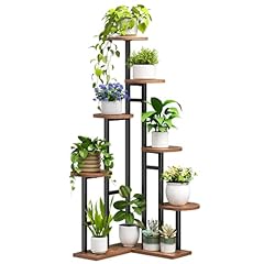 Hoobro corner plant for sale  Delivered anywhere in USA 