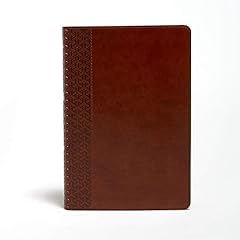 Kjv everyday study for sale  Delivered anywhere in UK