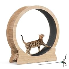 Mondeer cat wheel for sale  Delivered anywhere in UK
