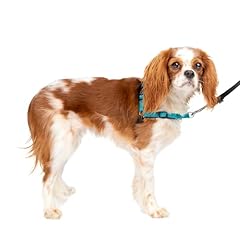 Petsafe pettorina deluxe usato  Spedito ovunque in Italia 